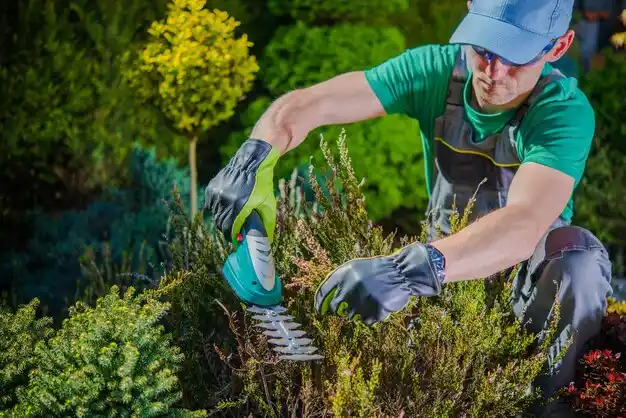landscaping services El Dorado Springs